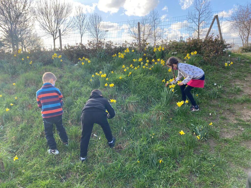 Balade au parc avec Espoir 18