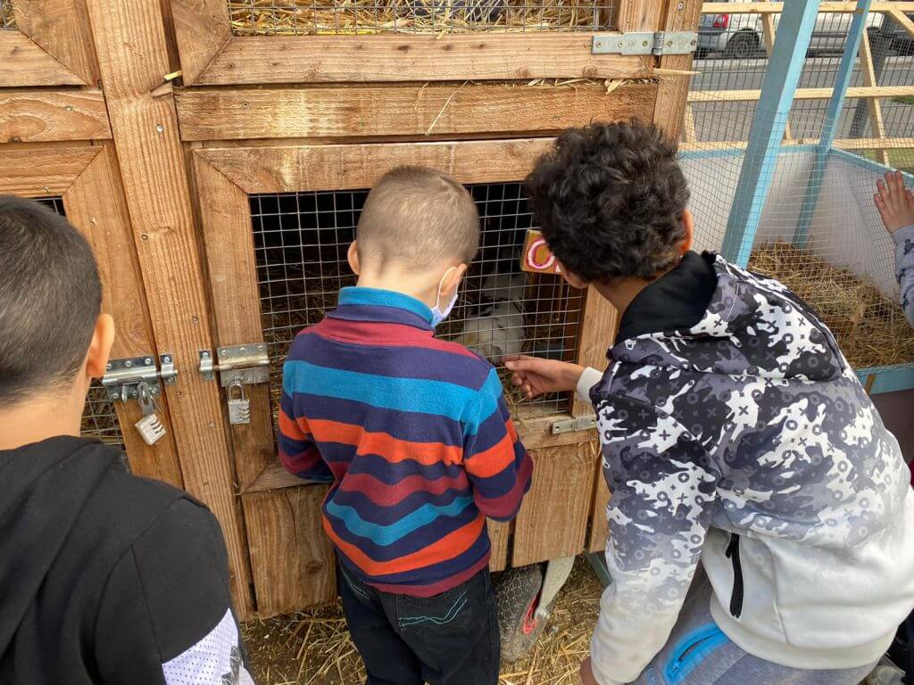 Balade aux jardins d'Éole avec les petis
